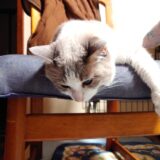 【修行】北海道日帰り往復【番外編】