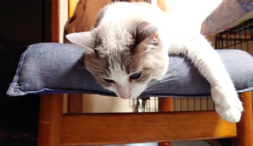 【修行】北海道日帰り往復【番外編】