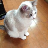 2025年の振り返りと2026年の投資方針