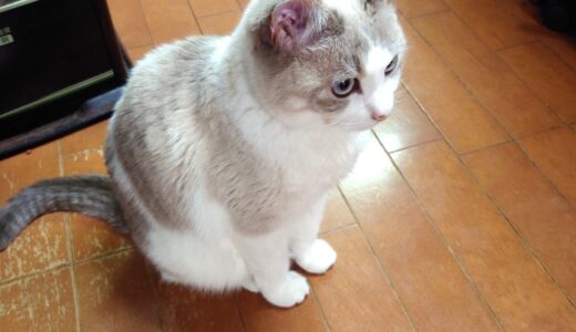 2025年の振り返りと2026年の投資方針