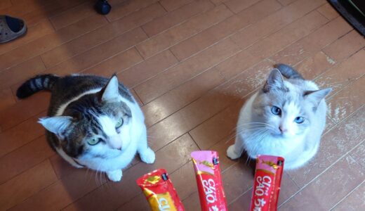 【配当金・分配金】2026年1月分