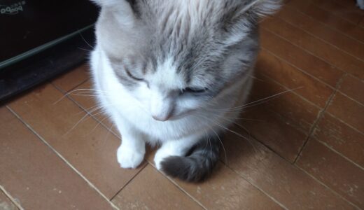 【2026新春】キャピタルゲイン狙いのスクリーニングの経過観察【グロース】