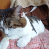 【修行】唐津日帰り旅行【番外編】