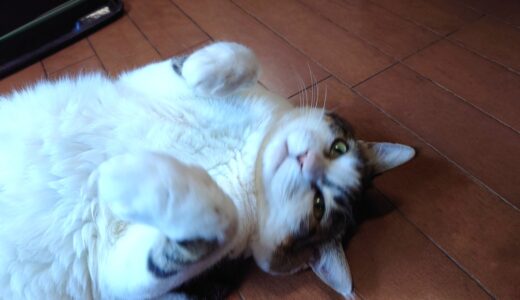 【燻製】アジとか燻してみた